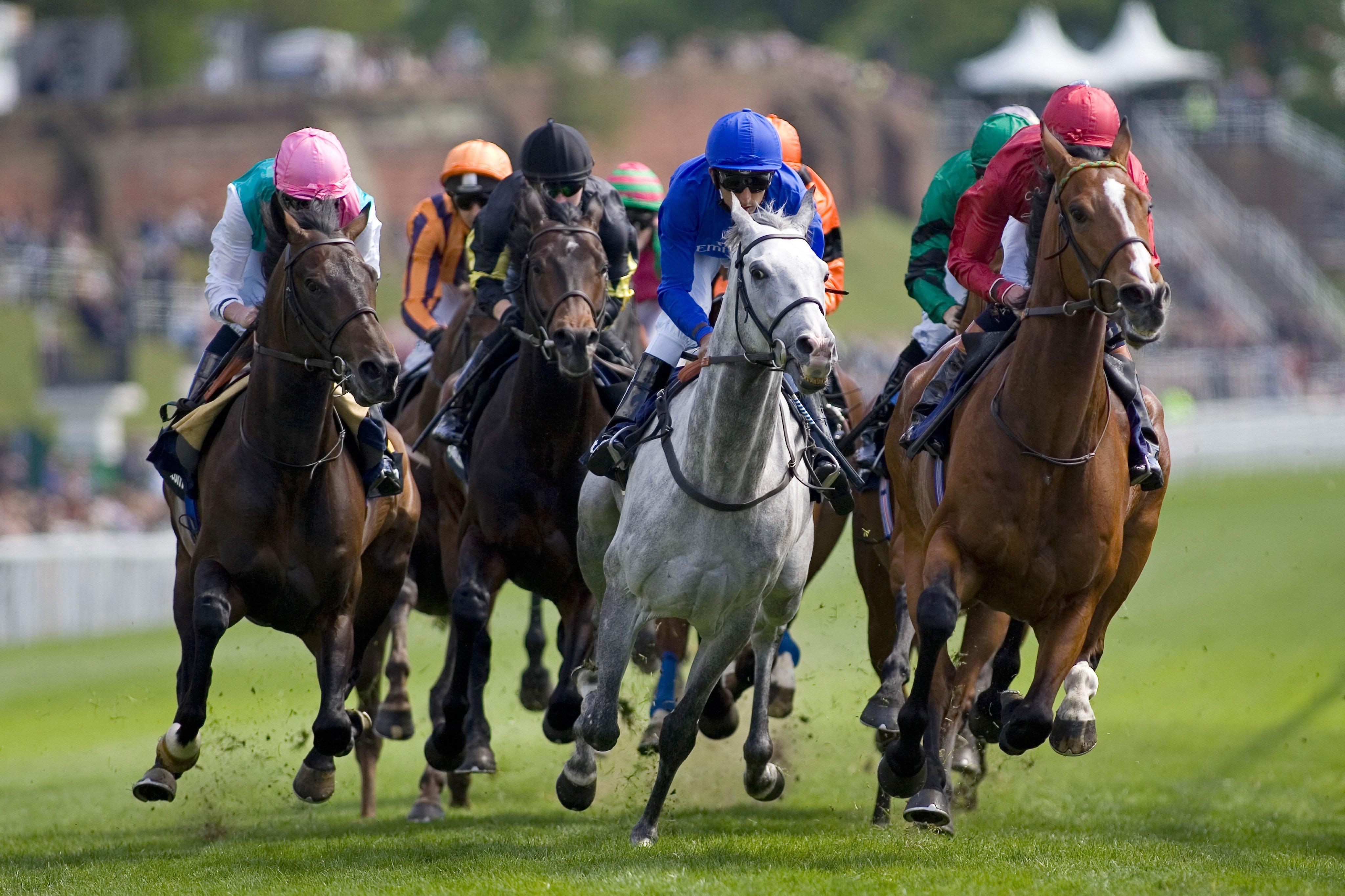 Holiday Inn Express, Chester Racecourse By Ihg Exteriör bild